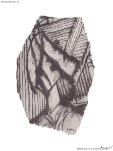 copia-di-frattoc2_2bis